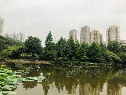 中海天钻配套图