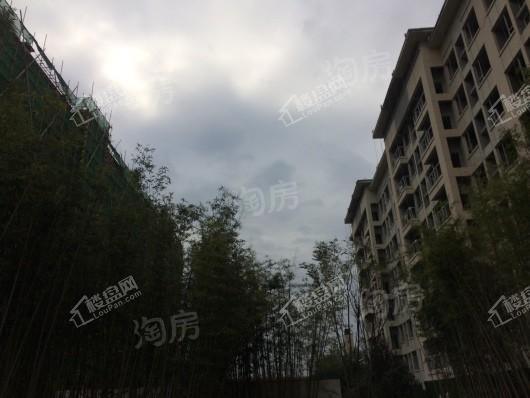 远洋山水赋实景图