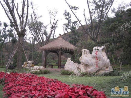 中建湖山印象配套图