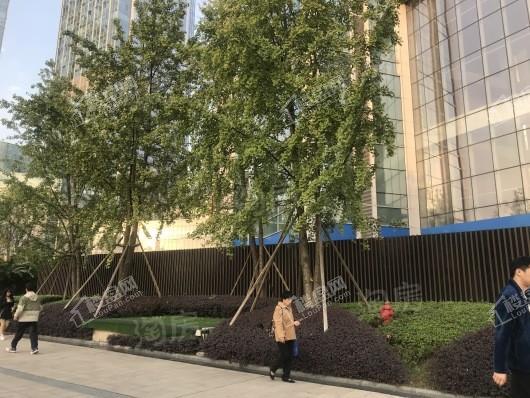 恒大中渝广场实景图