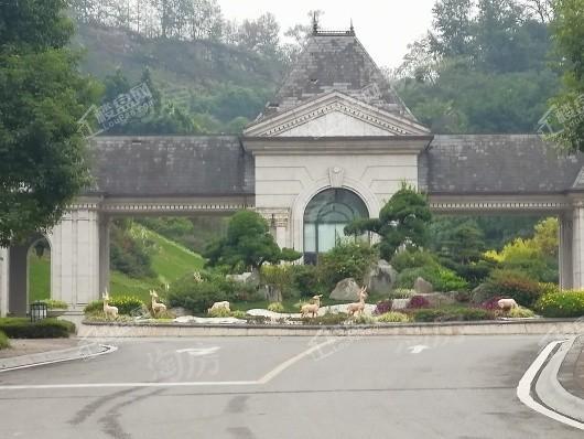 碧桂园长桥江山实景图