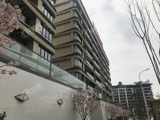 首创·禧瑞山河实景图