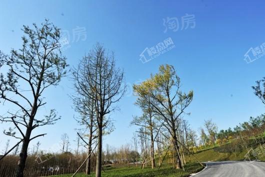 龙湖·景粼玖序配套图
