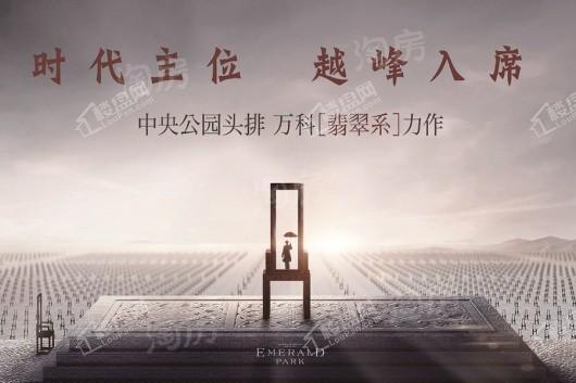 万科翡翠公园效果图