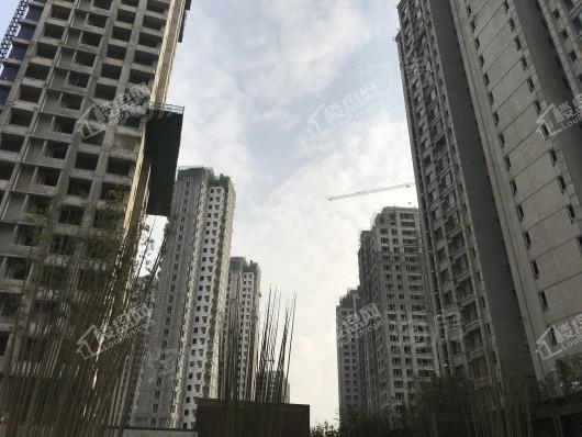 万科翡翠公园实景图