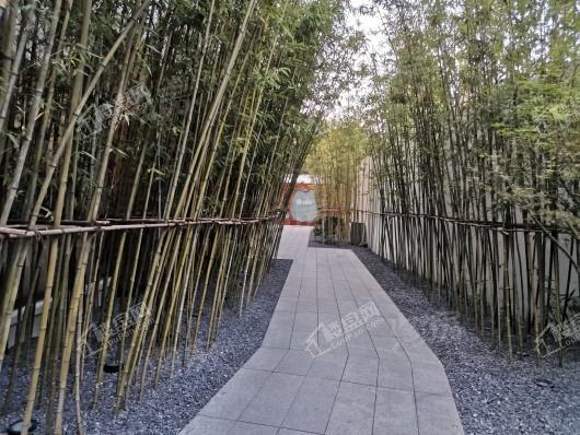 电建泷悦华府实景图