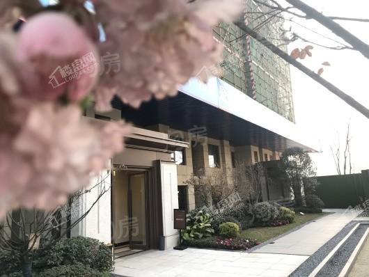 电建泷悦华府实景图