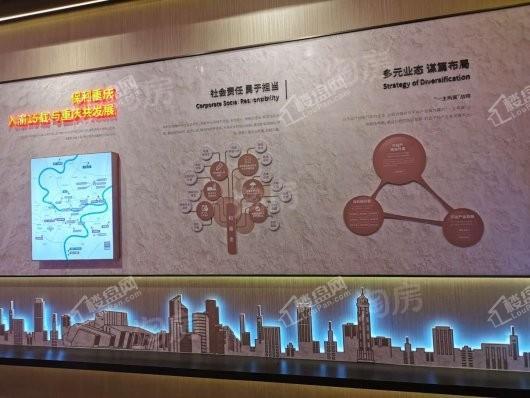 保利大国璟实景图