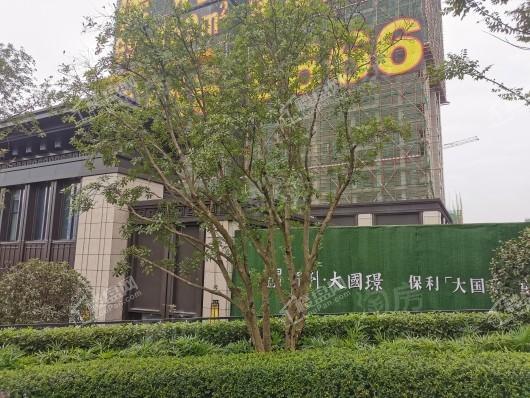 保利大国璟实景图