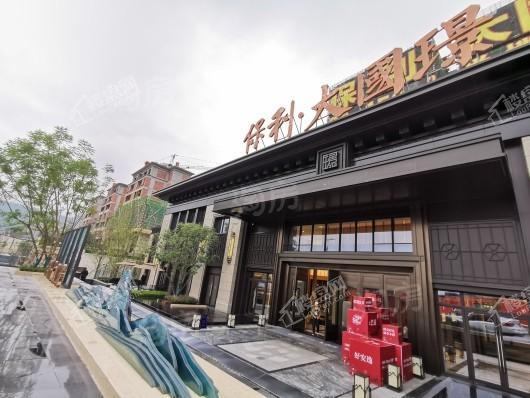 保利大国璟实景图