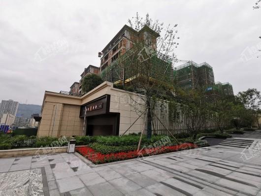 保利大国璟实景图