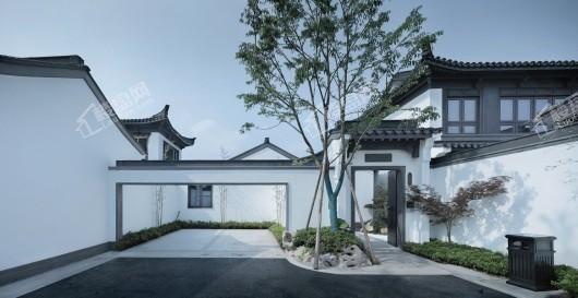 两江曲院风荷实景图