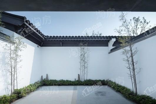 两江曲院风荷实景图