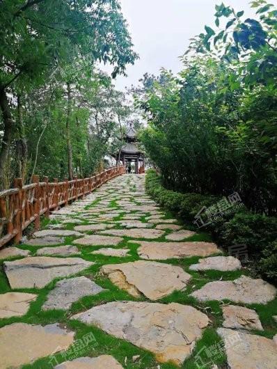 两江曲院风荷配套图