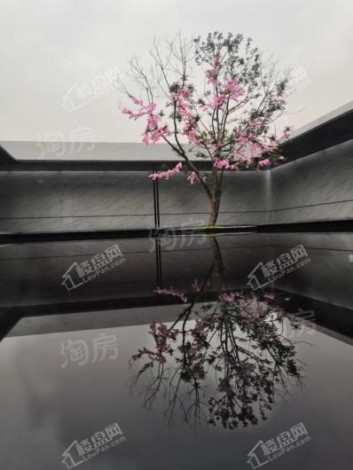 万云府实景图