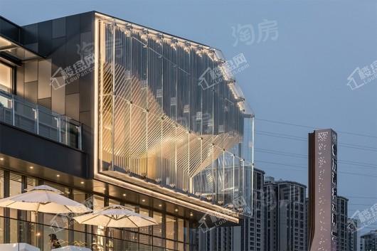 万科彩云湖实景图