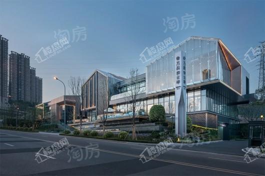 万科彩云湖实景图