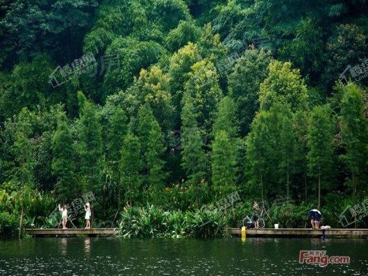 万科彩云湖配套图