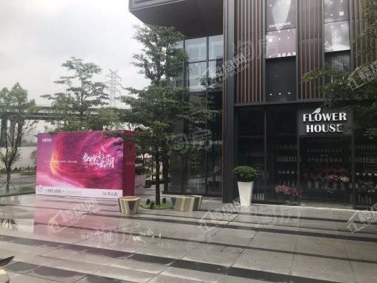 万科彩云湖实景图