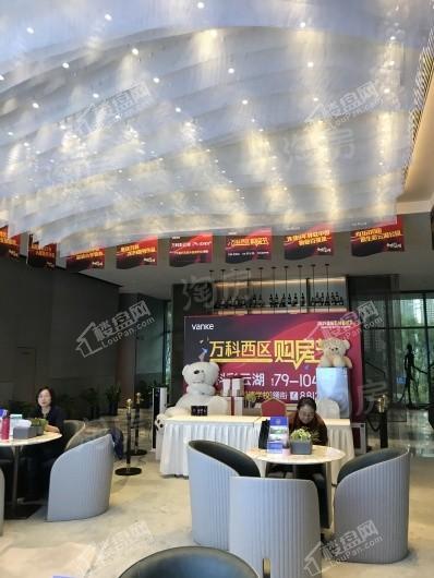 万科彩云湖实景图