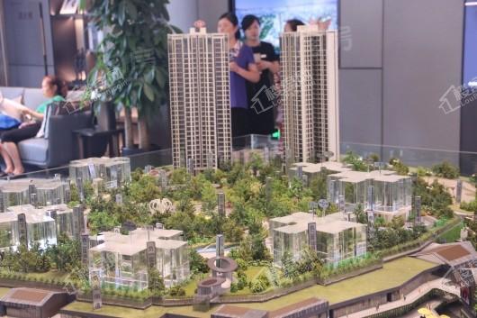 万科彩云湖实景图