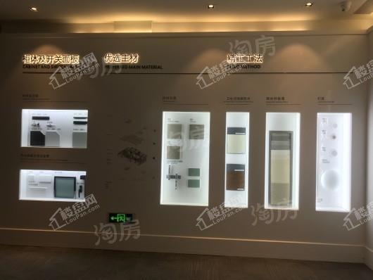 万科彩云湖实景图