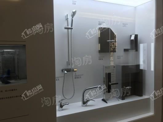 万科彩云湖实景图