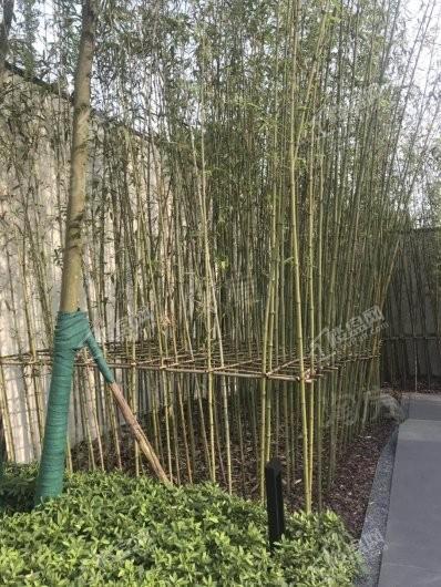 御华兰亭实景图