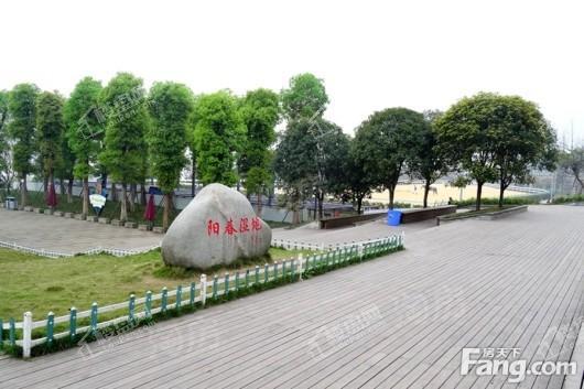 御华兰亭配套图