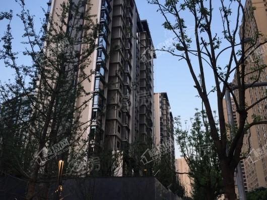 龙湖·尘林间实景图