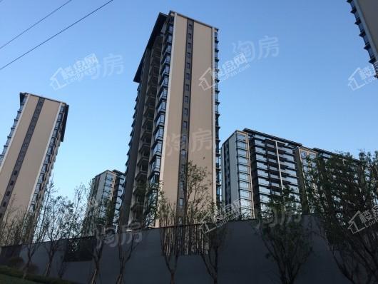 龙湖·尘林间实景图