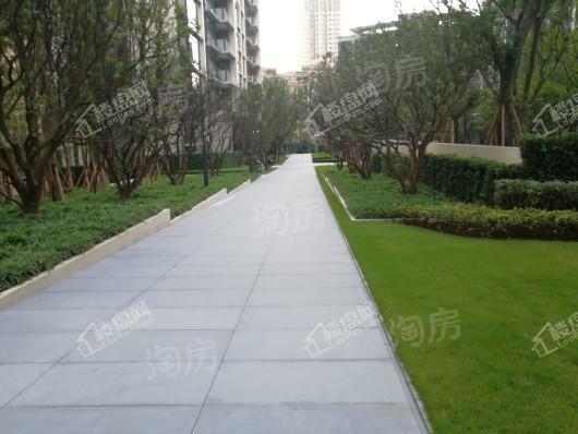 龙湖·尘林间实景图