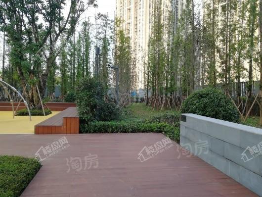 龙湖·尘林间实景图