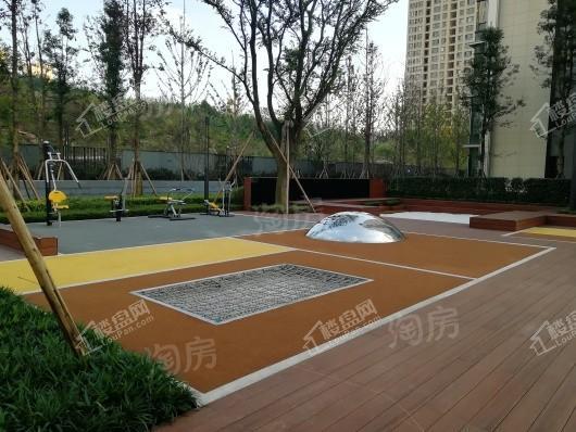 龙湖·尘林间实景图