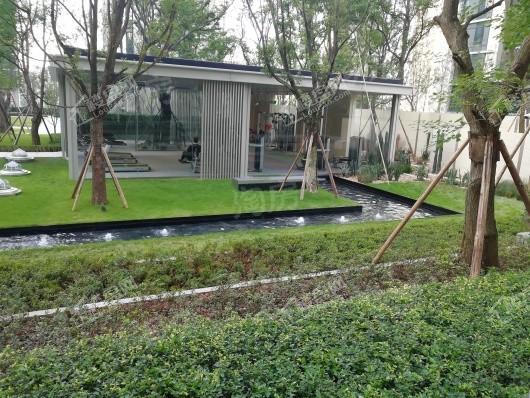 龙湖·尘林间实景图