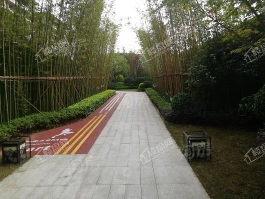 大发熙悦書山境实景图