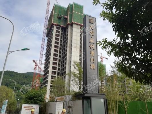 大发熙悦書山境实景图
