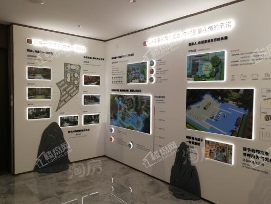 大发熙悦書山境实景图