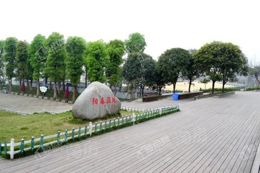 大发熙悦書山境配套图