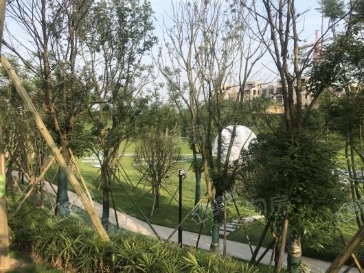 恒泰悦府实景图