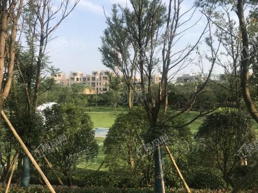 恒泰悦府实景图