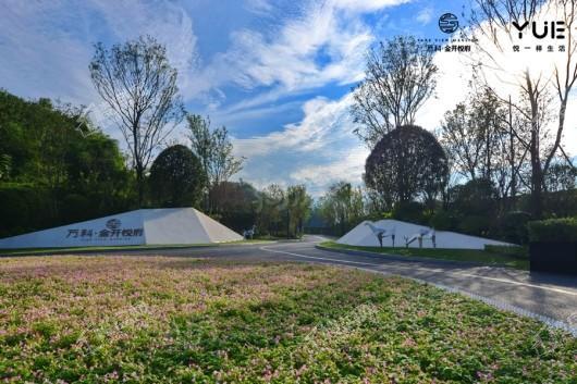 万科金开悦府实景图