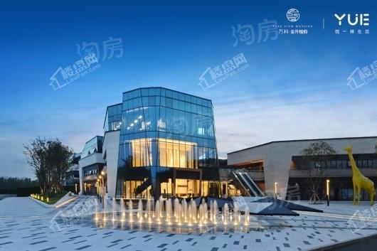 万科金开悦府实景图