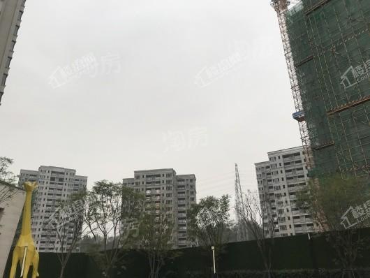 万科金开悦府实景图