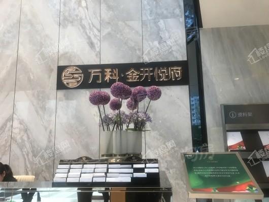 万科金开悦府实景图