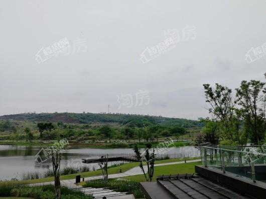 格力两江总部公园实景图