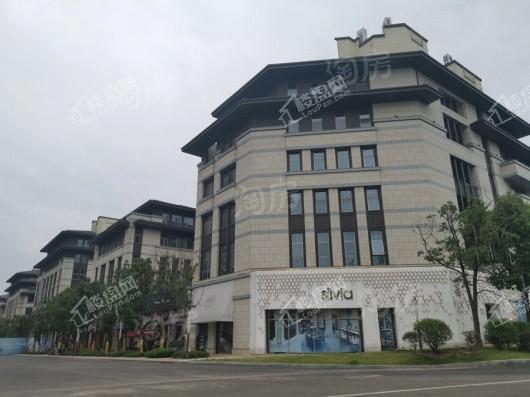 格力两江总部公园实景图