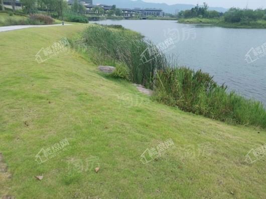 格力两江总部公园实景图