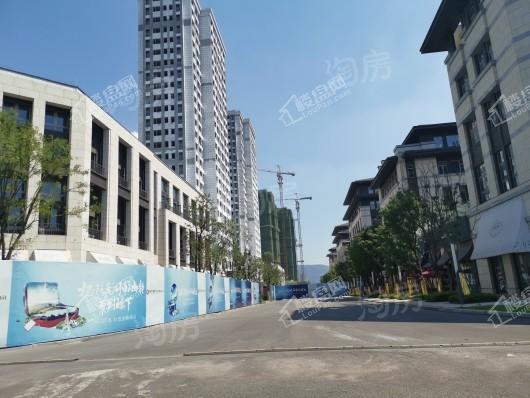 格力两江总部公园实景图