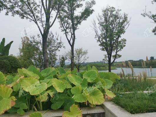 格力两江总部公园实景图